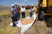 KİMYASAL GÜBRE - Yozgat'ta Mikrobiyal Gübre İle Ekimi Yapılan Nohuttan Daha Fazla Verim Elde Edildi