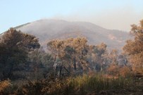 ORHANLı - İzmir'deki Yangında 30 Hektarlık Alan Yandı