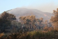 ORHANLı - Mangal Aşkı 30 Hektarlık Alanı Kül Etti