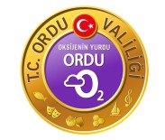 KOMANDO BİRLİĞİ - Ordu'daki Saldırıyla İlgili Tim Komutanı Açığa Alındı