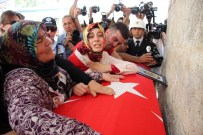 Tayini Çıktığı İlk Gün Şehit Oldu