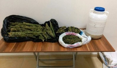 Peynir Bidonunda Uyuşturucu Taşırken Yakalandı