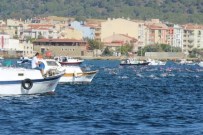 ALI UZUN - Yüzme Yarışları Kesin Sonuçları Açıklandı