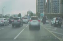 Deve Kuşuyla Trafiğe Çıktı