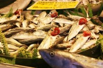 Edremitli Balıkçılar Yeni Av Mevsiminden Ümitli