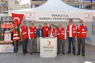 Kızılay Vekaletle Kurban Kampanyasını Başlattı