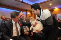 UĞUR IŞILAK - Pursaklar Kedi Güzellik Festivali Yarın Başlıyor