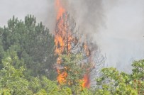 SORKUN - Uşak'ta Orman Yangını