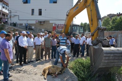 Niksar'da 'Kapalı Semt Pazarı Ve Otopark Projesi' İnşaatına Başlandı