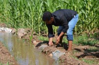 Elektrik Borcu Bulunan Çiftçiler İçin Son Fırsat