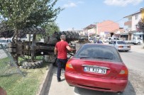 ALANYURT - Ağaç Hayatını Kurtardı