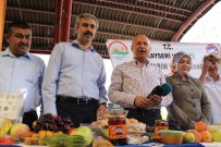 ORGANİK PAZARI - Kocasinan İnsan Sağlığı İçin Organik Tarıma Destek Veriyor