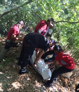 Sakarya Nehri'ne Düşen Adamın Cesedi Bulundu