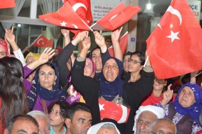 Viranşehir'de Binlerce Kişilik Demokrasi Yürüyüşü