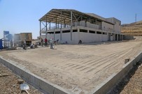 CİZRE BELEDİYESİ - Cizre'de Yeni Mezbahana Binasında Çevre Düzenlemesi Yapıldı