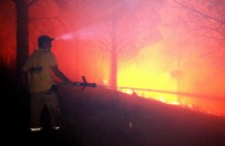 KAZDAĞLARI - Kazdağları'nda Orman Yangını