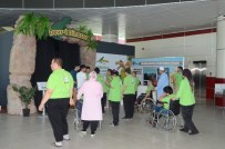 DINOZOR - Engellilerin Bilim Merakı