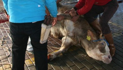 FETÖ'nün 'kurban' oyunu