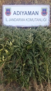 Jandarma Uyuşturucuya Geçit Vermiyor