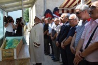 SANAT DÜNYASI - Ordu Sanat Camiası Yasta