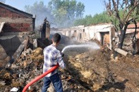 SAMANLıK - Samanlık Yangınında Hayvanlar Telef Oldu