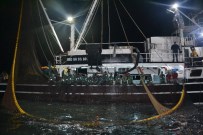 HAVA DURUMU - 5 saatlik çabanın ödülü 120 kasa balık oldu