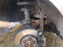 YAVRU KEDİ - Araç İçine Sıkışan Kediyi İtfaiye Kurtardı