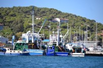 AV MEVSIMI - Ayvalıklı Balıkçılar Denizden Eli Boş Döndü