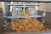 Büyükşehir Belediyesi'nden Antep Fıstığı Üreticisine Destek