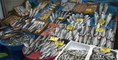 İlk Gün İstanbul'da Tezgahlarda Palamut Ve Hamsi Var
