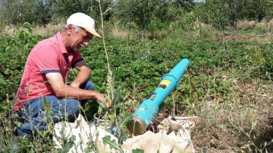 Domuzsavar Çiftçilerin Umudu Oldu