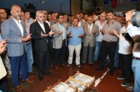 İSMAIL YıLDıRıM - Sezonun İlk Balıkları Karamürsel'de Mezatta Satıldı