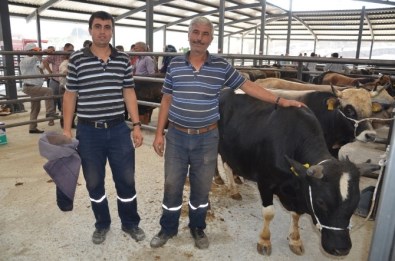 Soma'da Kurban Hareketliliği Başladı