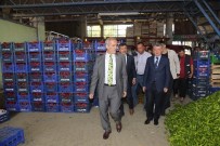 RECEP ALTEPE - Biber Üreticisine Bayram Müjdesi