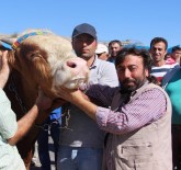 Kurbanla Selfie 5 TL