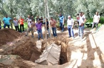 LAHİT - Zeytinlikten Lahit Fışkırıyor