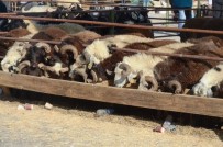 BAYRAM NAMAZI - Bayramın İlk Gününde Satışların Sürdüğü Hayvan Pazarında, Satıcılar Müşteri, Alıcılar İse Fiyat Düşüşü Bekliyor