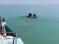 BALIKÇI TEKNESİ - Göle Atlayan Kurbanlıklar Kementle Yakalanabildi