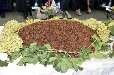 İhracatı 200 Bin Tonu Aştı