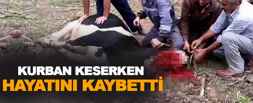 Kurban keserken hayatını kaybetti