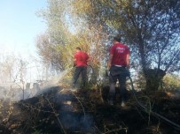 ANIZ YANGINI - Anız Yangınında Yaklaşık 80 Ağaç Zarar Gördü