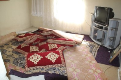 Hakkari'de 5 Gözaltı