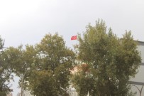ADIYAMAN VALİLİĞİ - Adıyaman'da Şiddetli Rüzgar Ağacı Devirdi