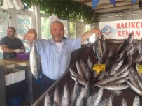 HAMSİ BALIK - Balık Bollaştı, Fiyat Ucuzladı