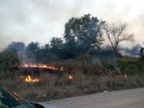Bursa'da Korkutan Yangın