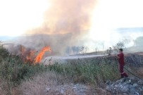 Çan'da Arazi Yangını