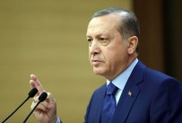 ABDULLAH ÖZTÜRK - Erdoğan'dan milli sporcuya tebrik telgrafı