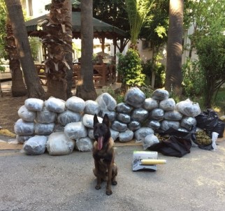 Kurban Bayramı'nda Uyuşturucu Tacirlerine Operasyon