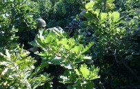 KADIN TERÖRİST - Ahmet Budak'a Düzenlenen Saldırıda Yeni Gelişme