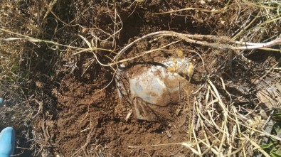 Askerin dikkati faciayı önledi